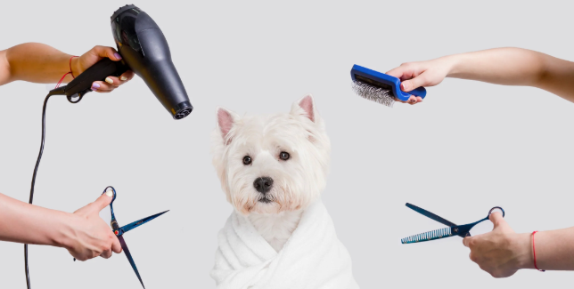 PetGroomingProducts